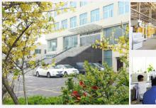 中國全自動水泥空心磚機的領(lǐng)軍品牌！