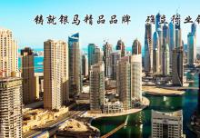 砌塊磚機(jī)的領(lǐng)軍者風(fēng)范